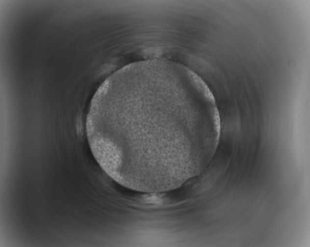 X0000088690335200706282007