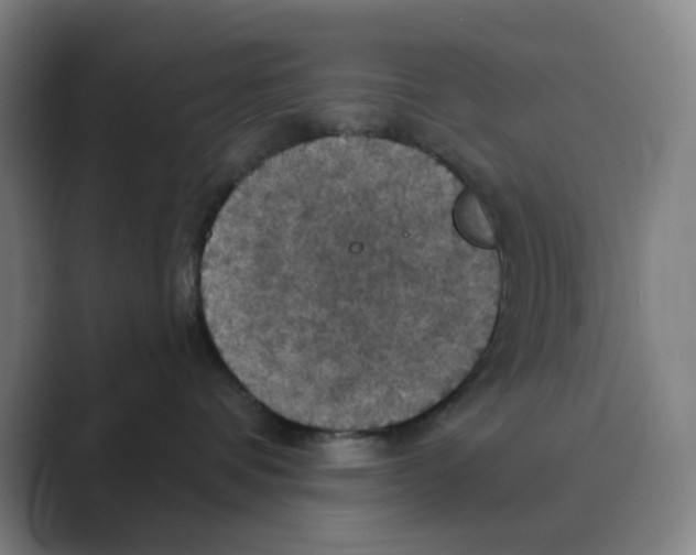 X0000088690336200706282007