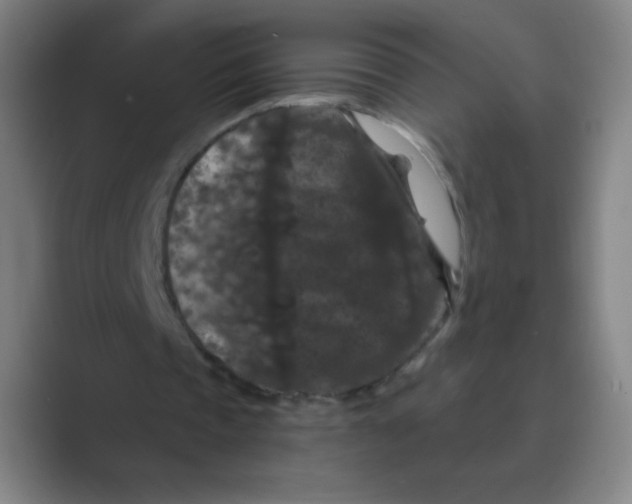 X0000088690337200706282007