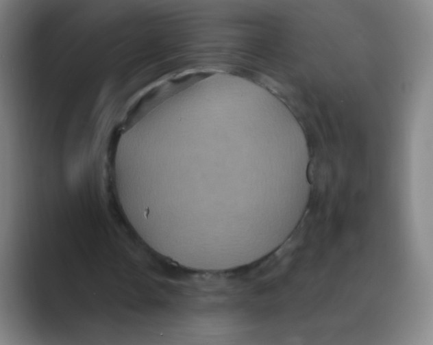 X0000088690338200706282007