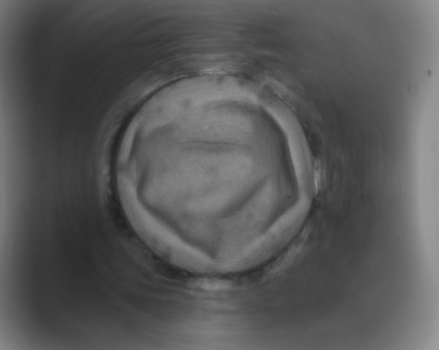 X0000088690339200706282007