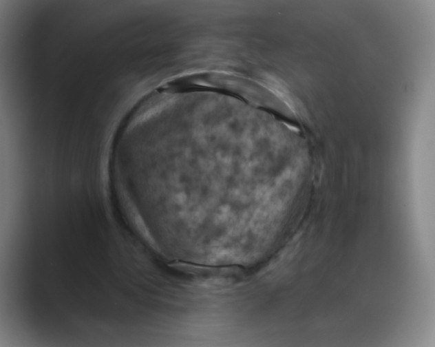 X0000088690340200706282007