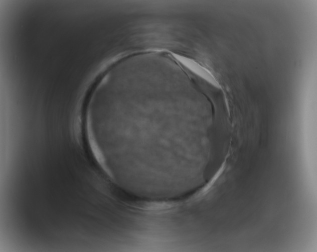 X0000088690342200706282007