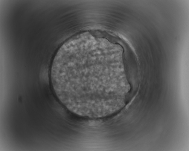 X0000088690345200706282007