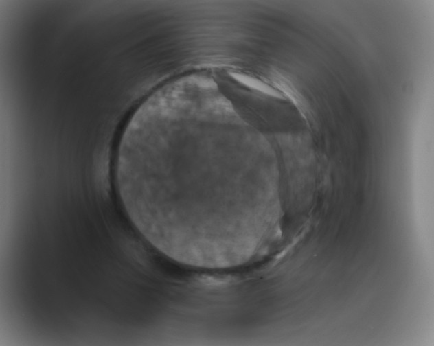 X0000088690346200706282007