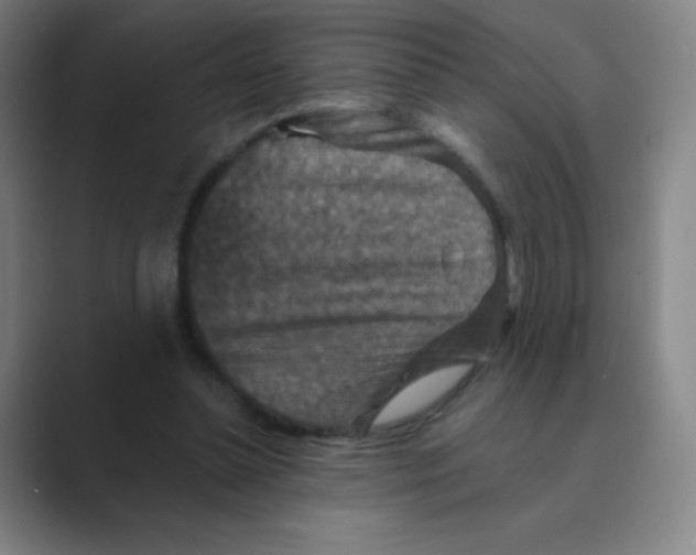 X0000088690348200706282007