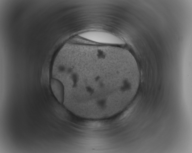 X0000088690349200706282007