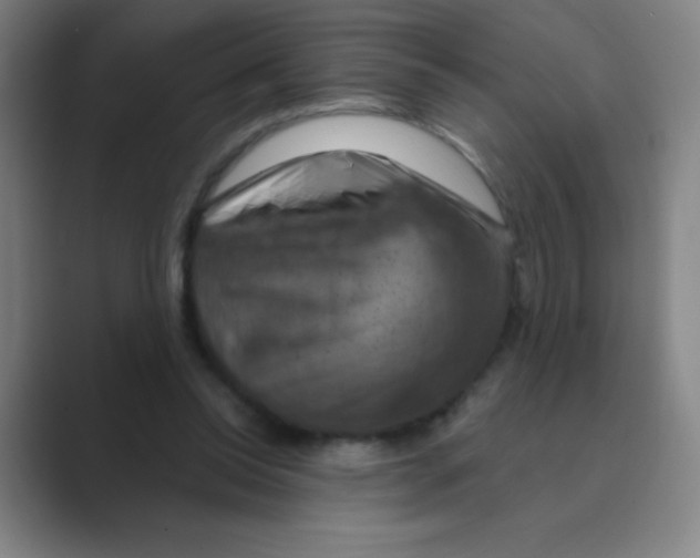 X0000088690350200706282007