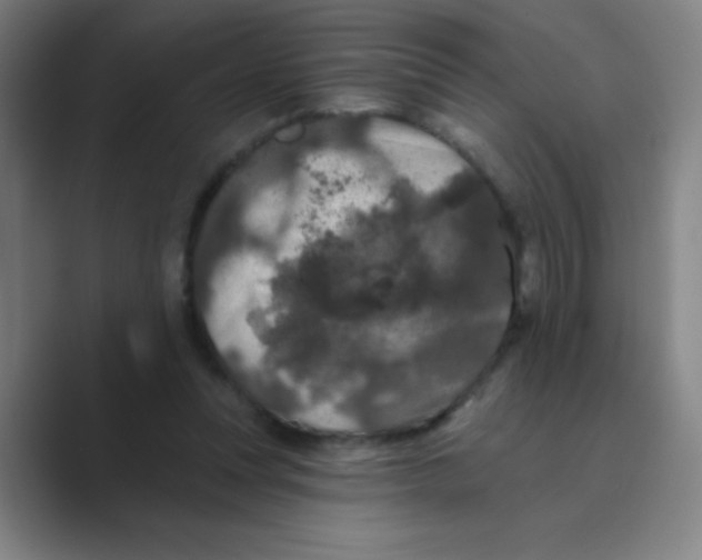 X0000088690351200706282007