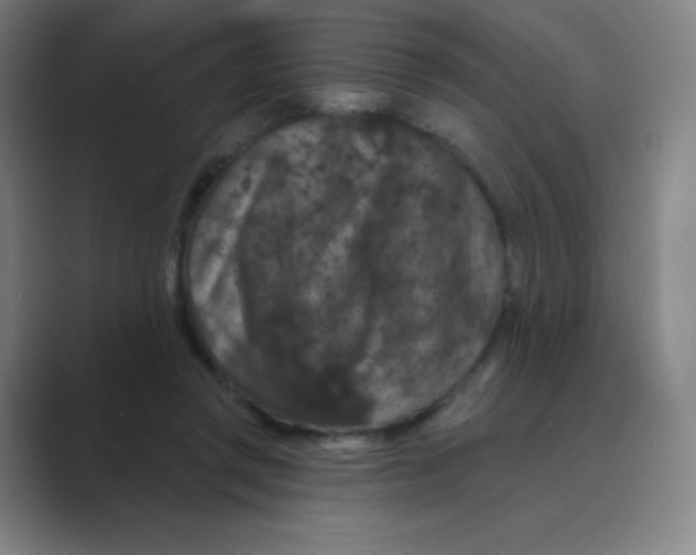 X0000088690357200706282007