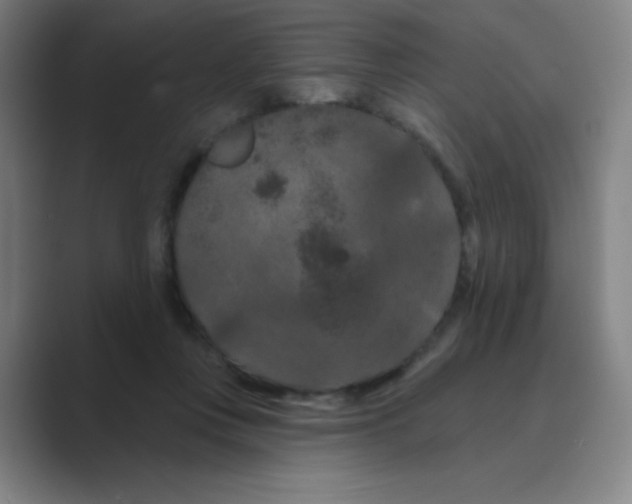 X0000088690359200706282007