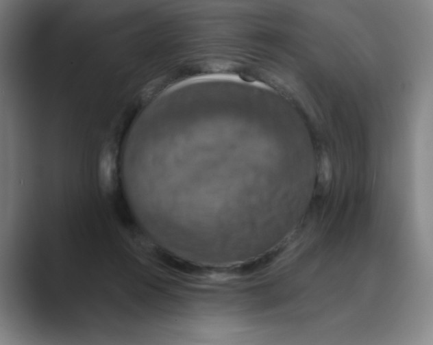 X0000088690360200706282007