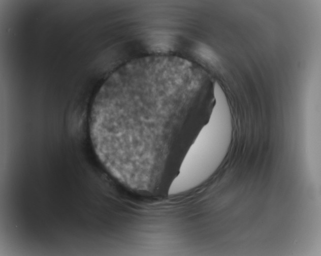 X0000088690364200706282007