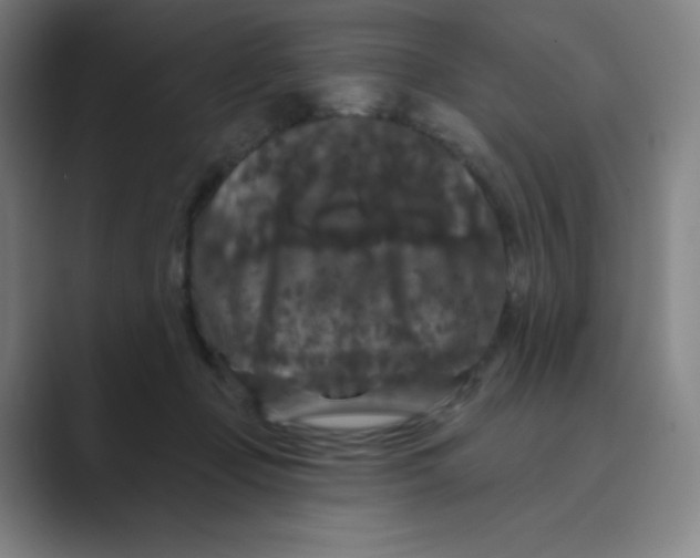 X0000088690365200706282007