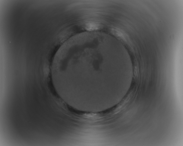 X0000088690367200706282007