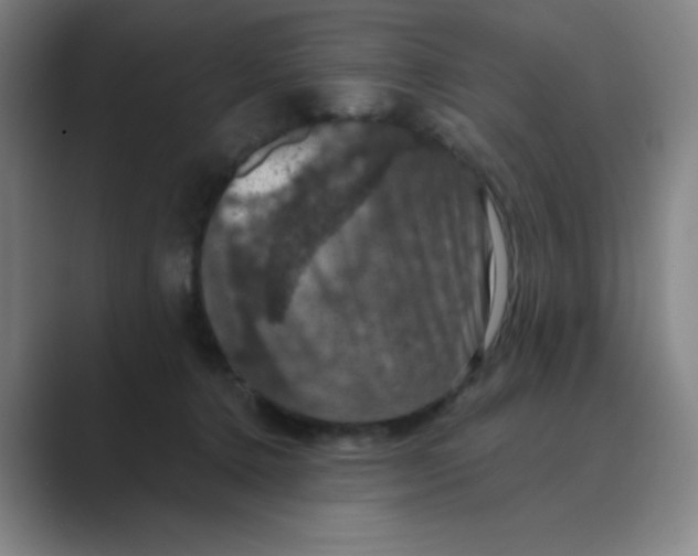 X0000088690368200706282007