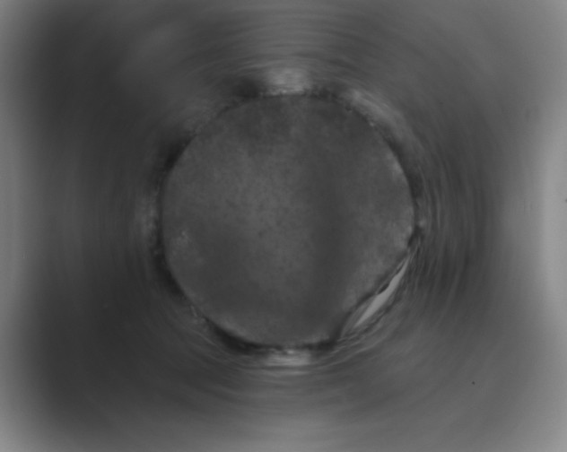 X0000088690369200706282007