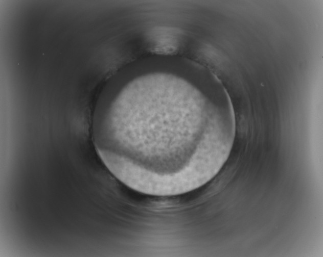 X0000088690370200706282007