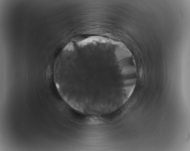 X0000088690372200706282007