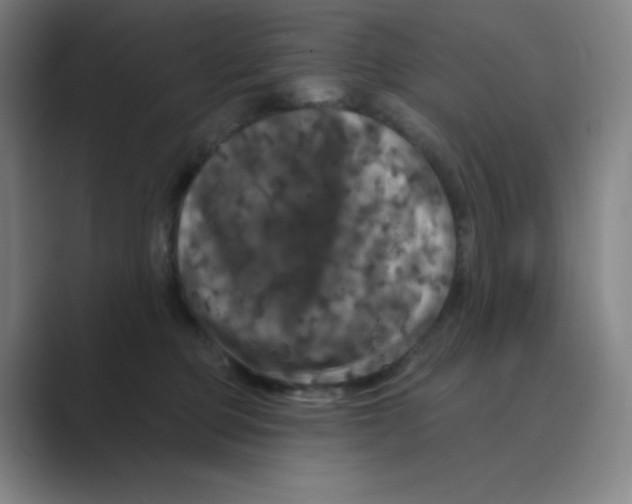 X0000088690373200706282007