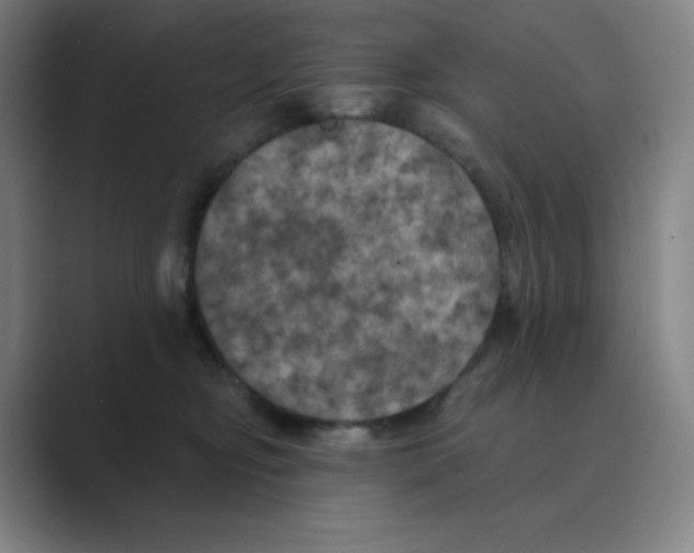 X0000088690374200706282007