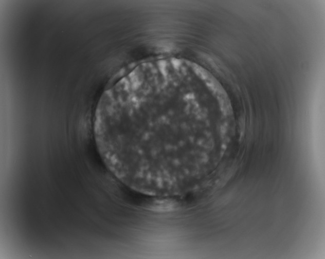 X0000088690376200706282007