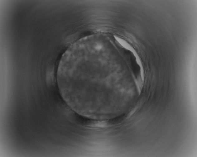 X0000088690377200706282007