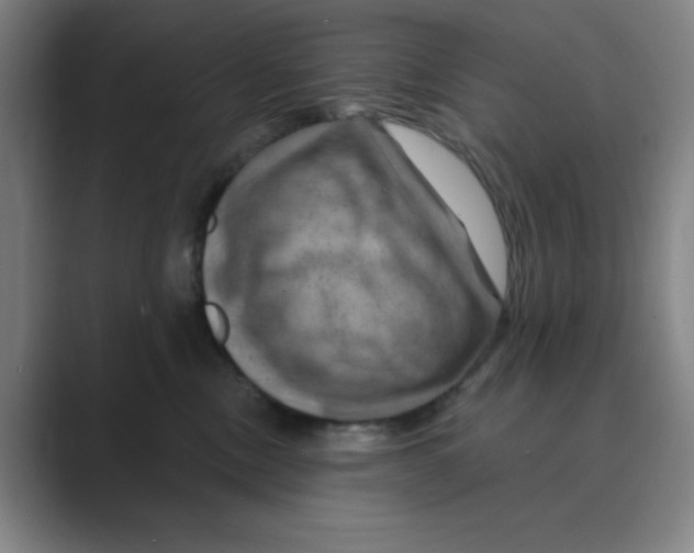 X0000088690378200706282007