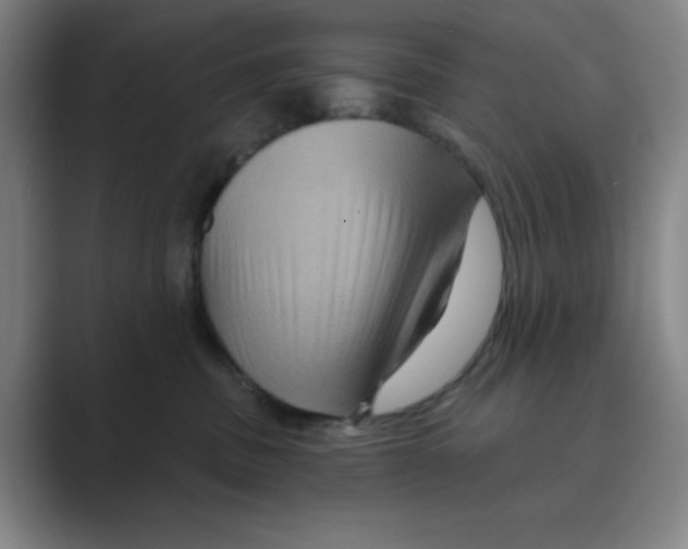 X0000088690379200706282007