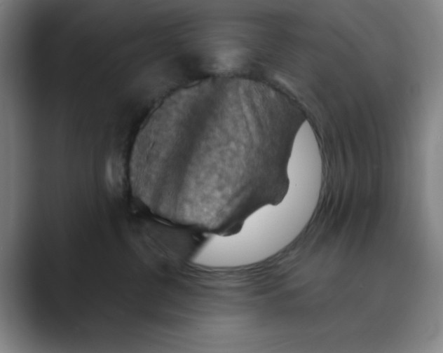 X0000088690380200706282007