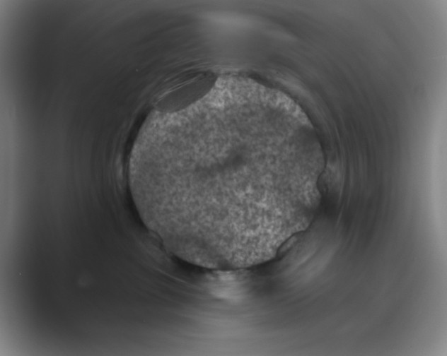 X0000088690381200706282007