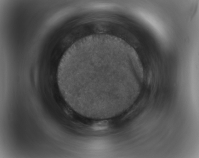 X0000088690382200706282007