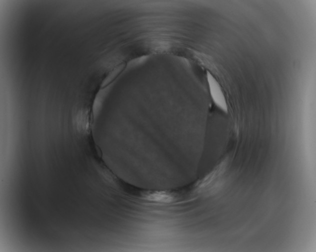 X0000088690383200706282007