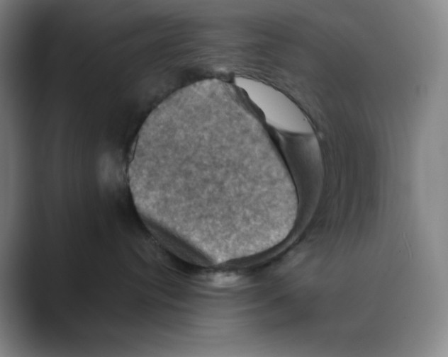 X0000088690384200706282007