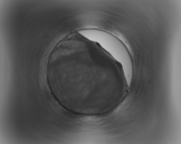 X0000088690385200706282007