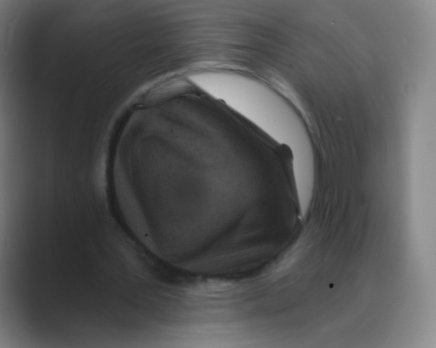 X0000088690387200706282007