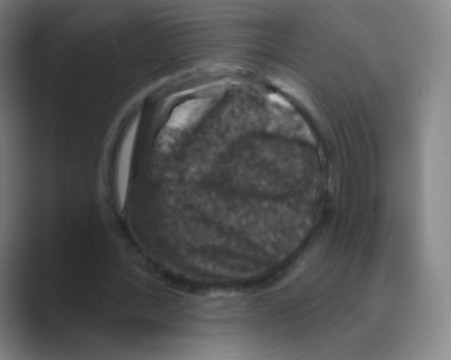 X0000088690388200706282007