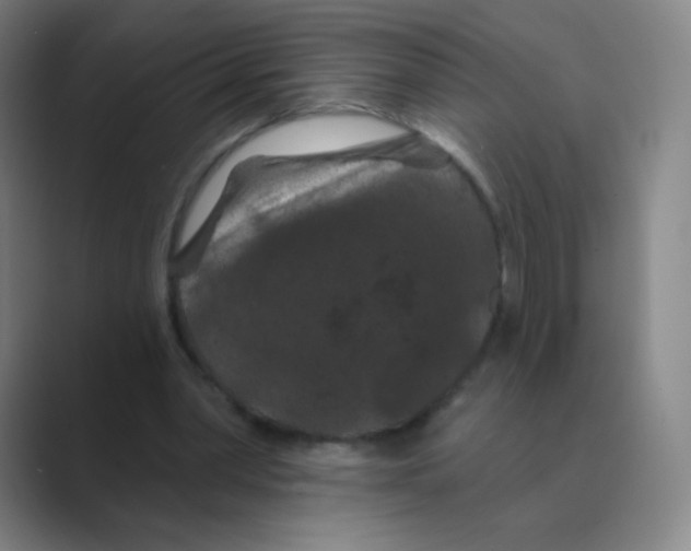 X0000088690390200706282007