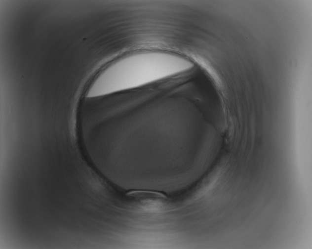 X0000088690391200706282007