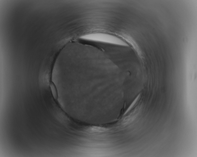 X0000088690393200706282007