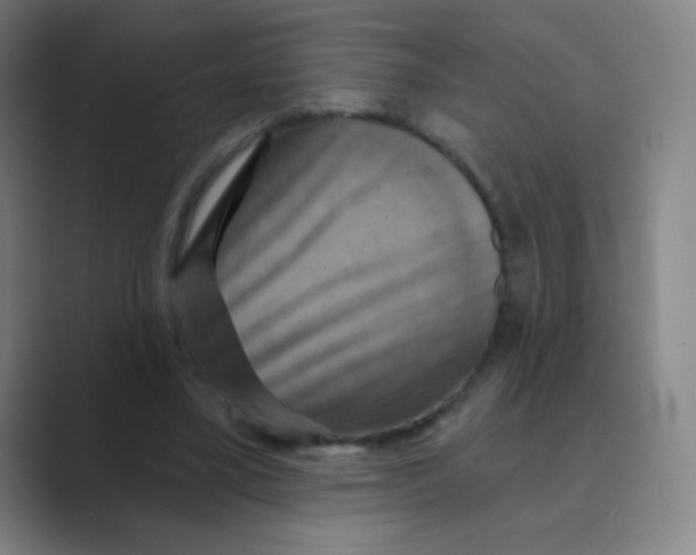 X0000088690395200706282007