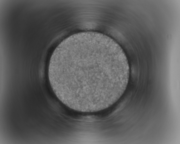 X0000088690396200706282007