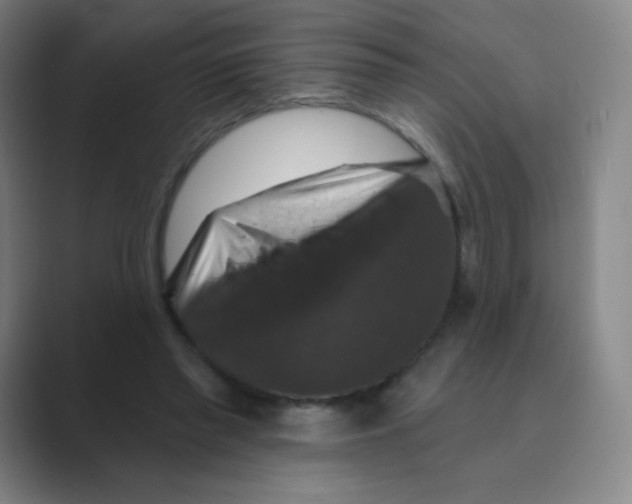 X0000088690397200706282007