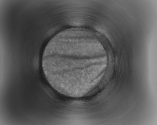 X0000088690400200706282007