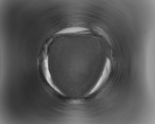 X0000088690405200706282006