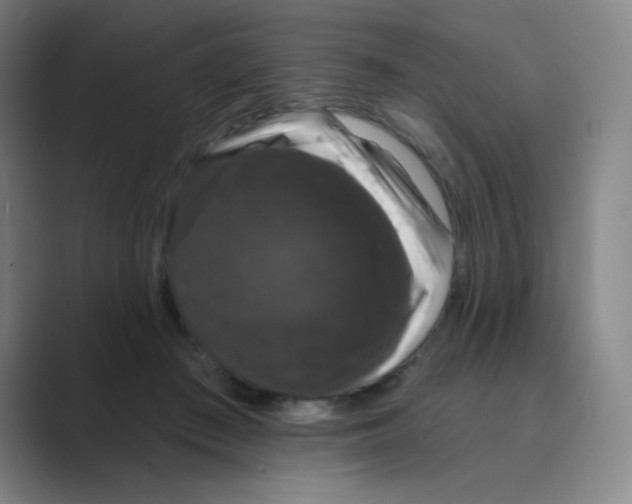 X0000088690409200706282006