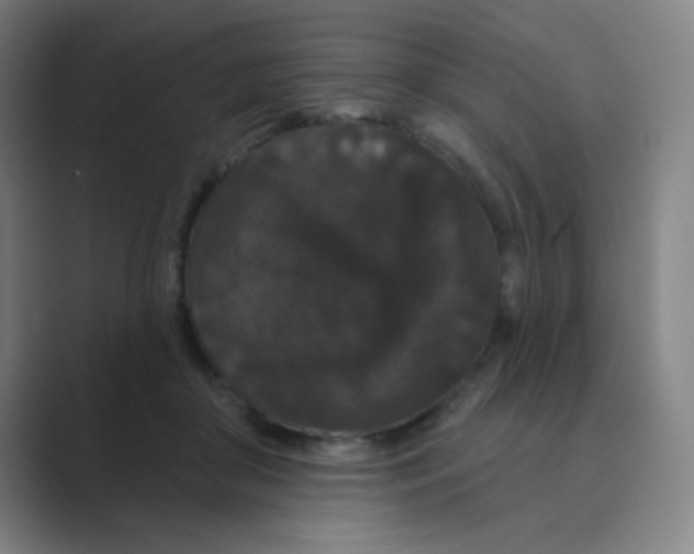 X0000088690410200706282006