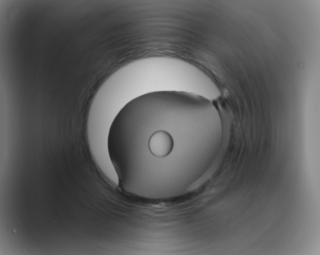 X0000088690411200706282006