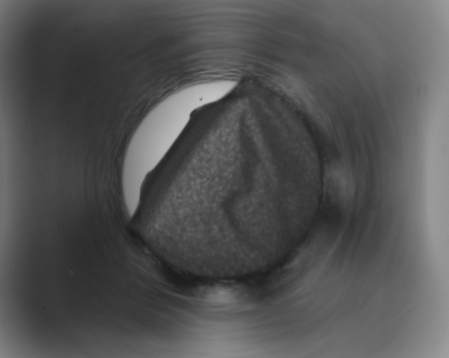 X0000088690412200706282006