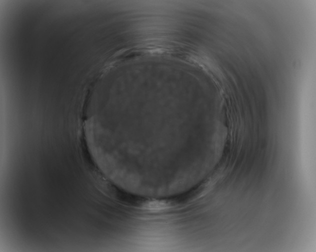 X0000088690413200706282006